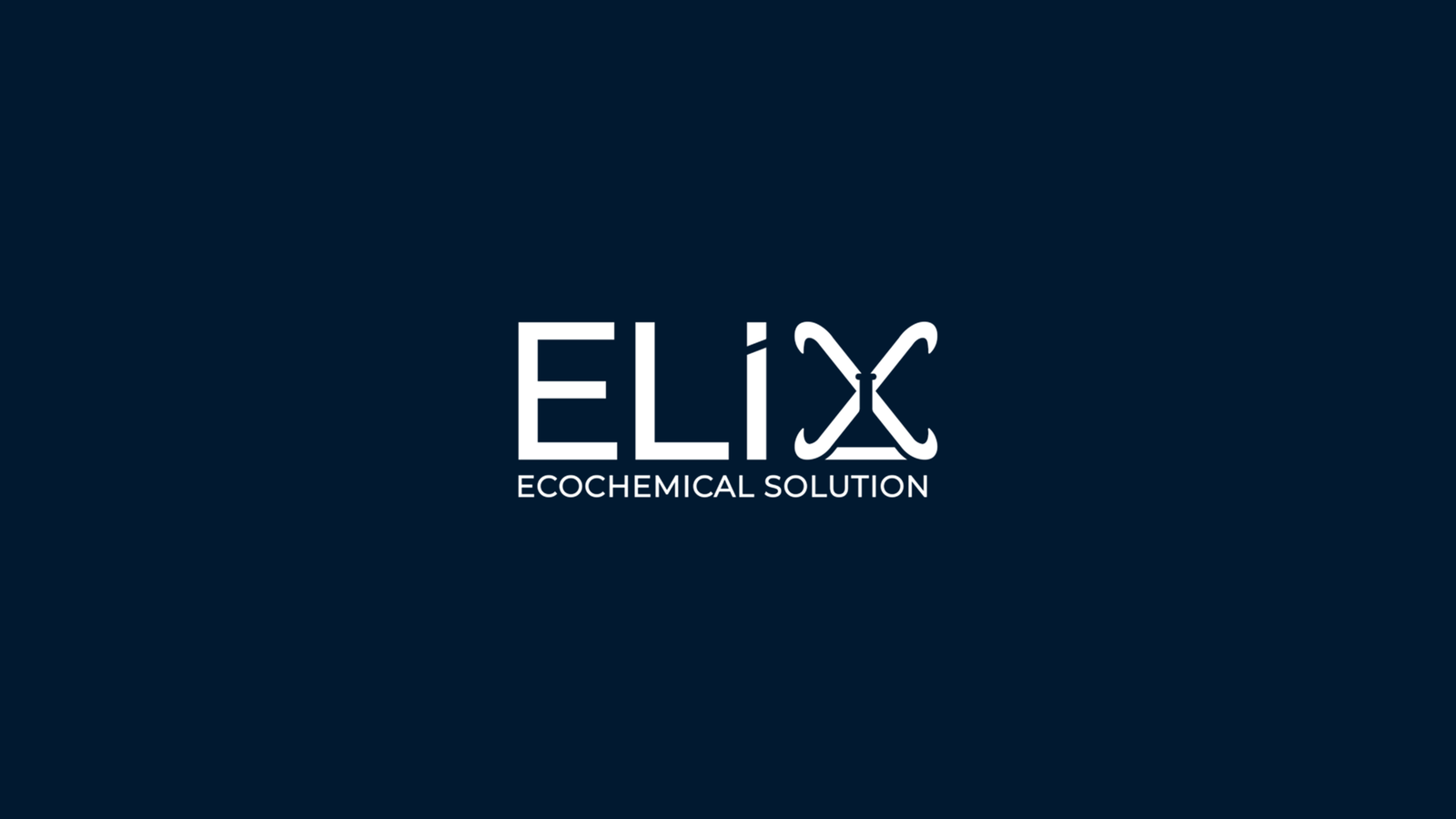 Segnaposto — homepage del sito di Elix Service