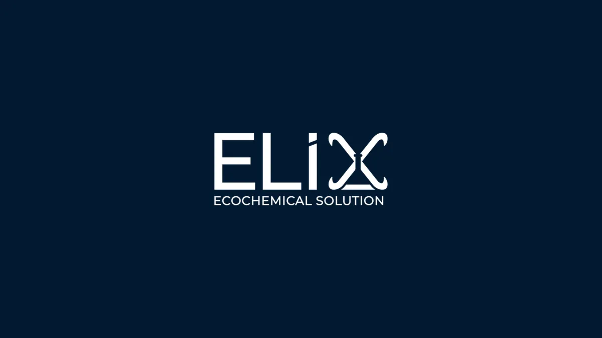 Segnaposto — homepage del sito di Elix Service